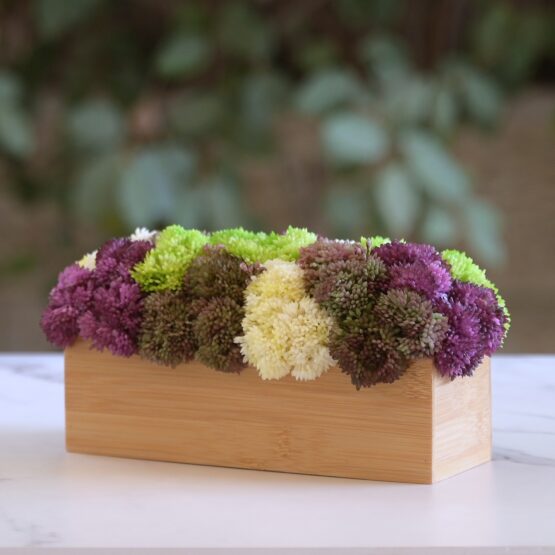The Vivid Sedum Box, Medium